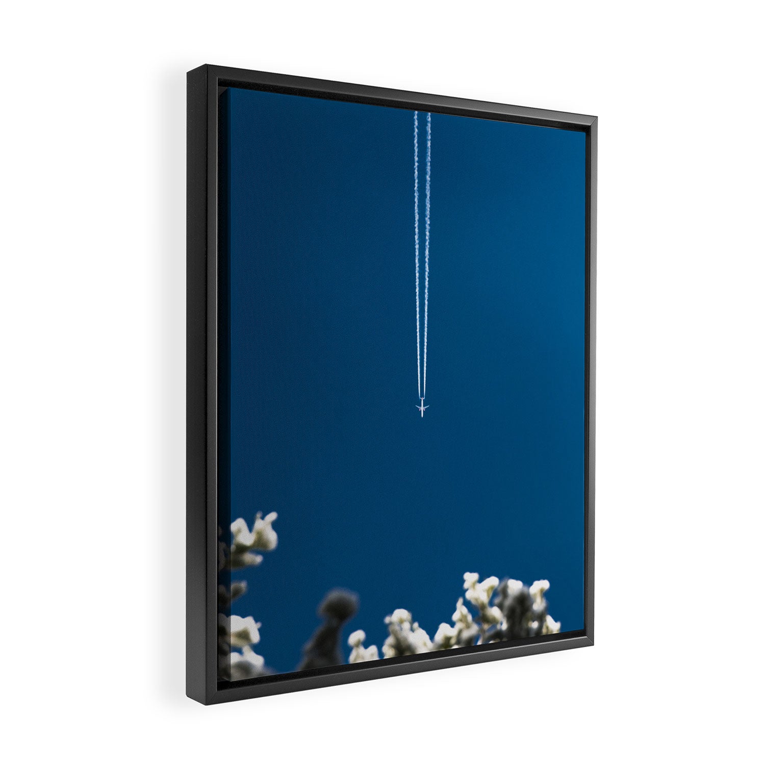 Jetset - Bluest Blue Framed Canvas Print Gallery Image 2