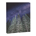 Lightyears - Milkyway Forest Canvas Print Gallery Image 8