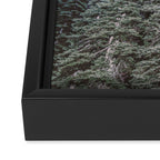 Lightyears - Milkyway Forest Framed Canvas Print Gallery Image 3