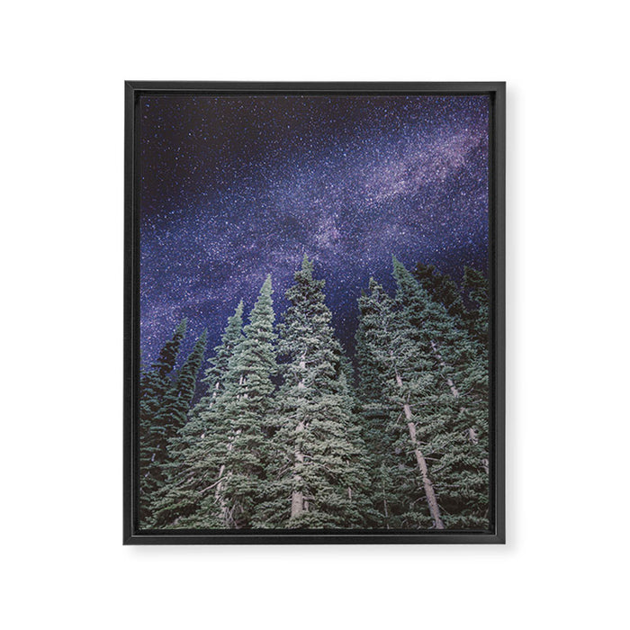 Lightyears - Milkyway Forest Framed Canvas Print Gallery Image 1