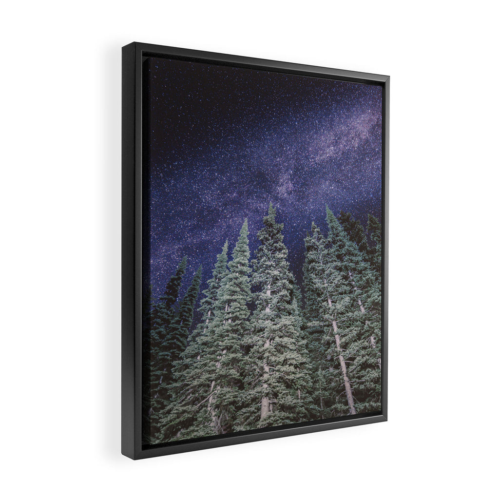 Lightyears - Milkyway Forest Framed Canvas Print Gallery Image 2