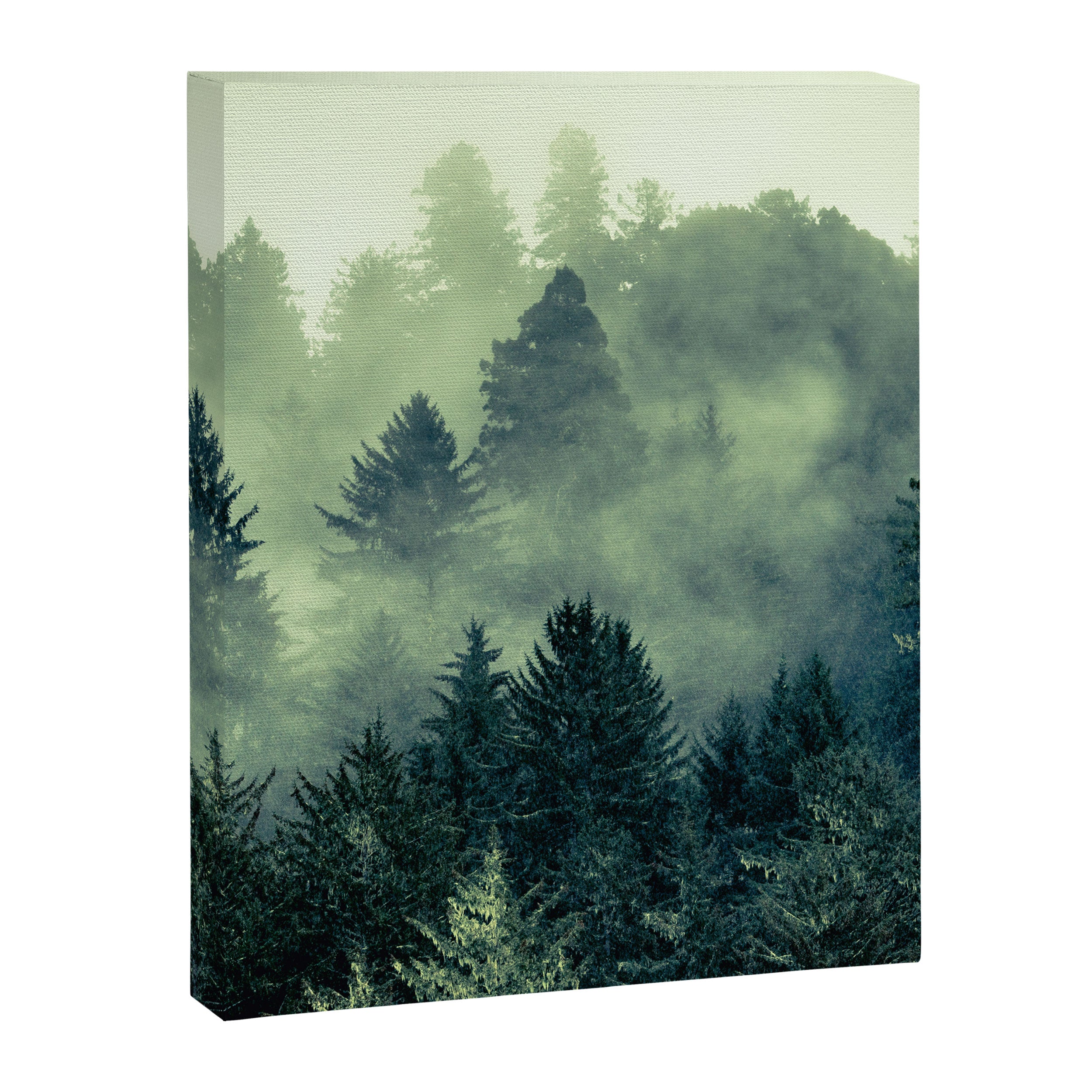 Lost In Space Canvas Print Gallery Image 6