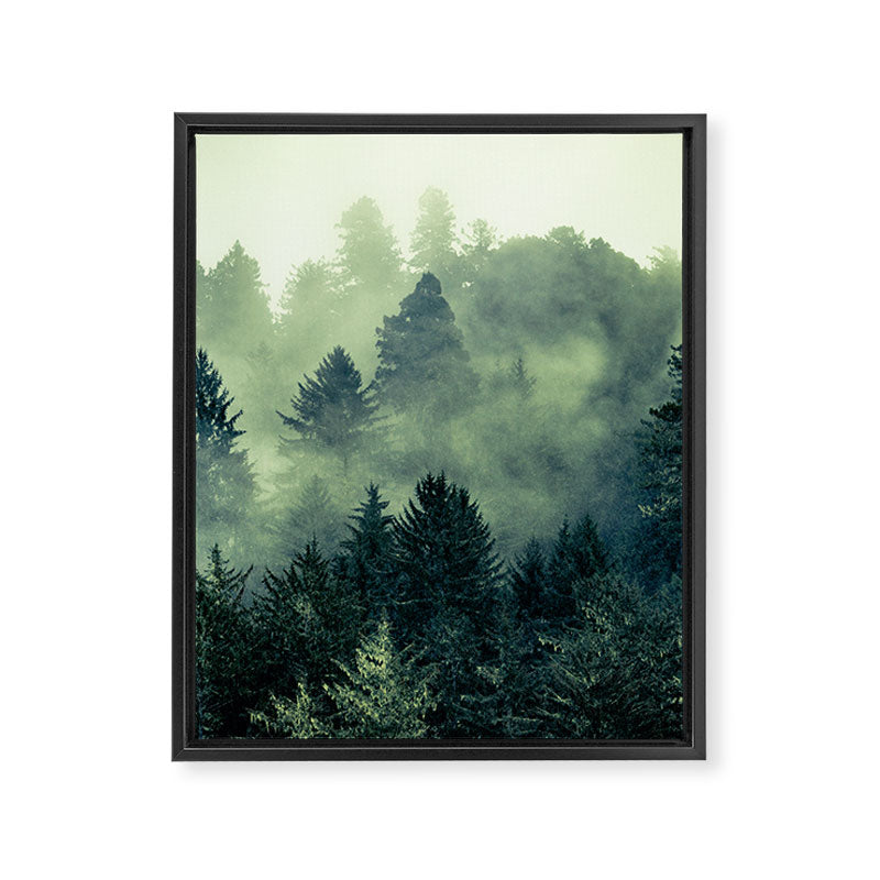 Lost In Space Framed Canvas Print Gallery Image 6