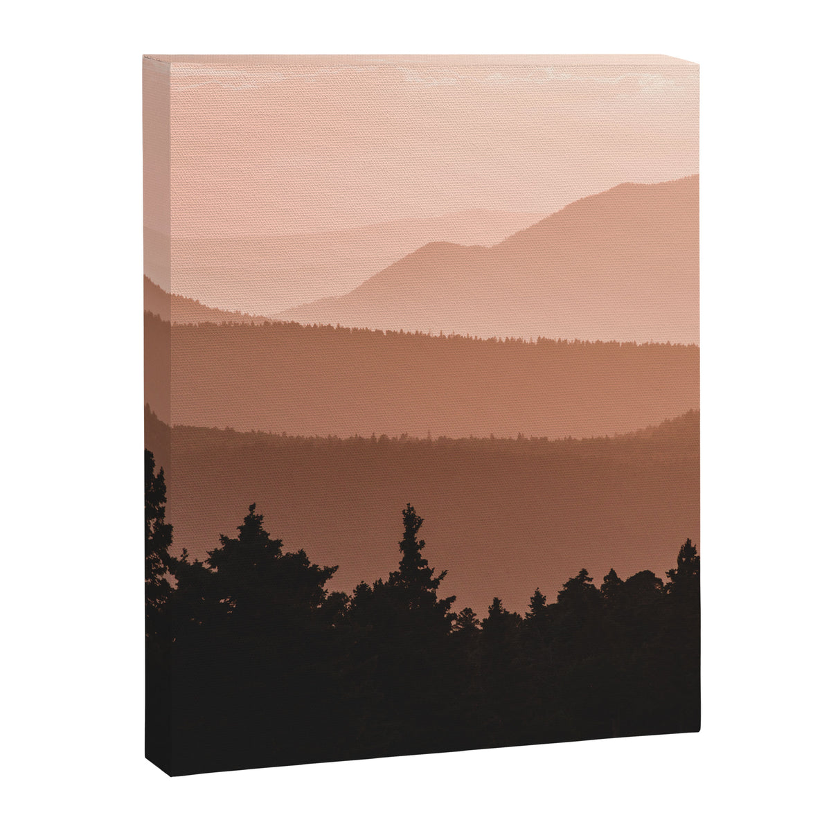 Lost in the Smoky Mountains Canvas Print Gallery Image 8