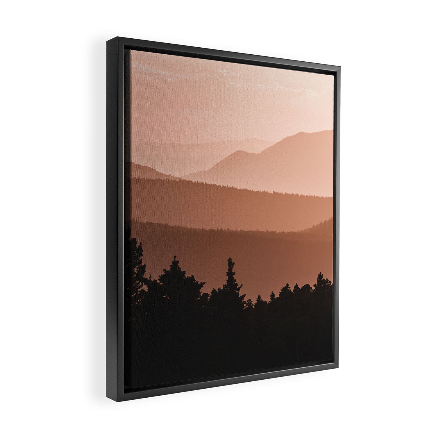 Lost in the Smoky Mountains Framed Canvas Print Gallery Image 2