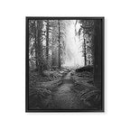 Magical Washington Rainforest Black and White Framed Canvas Print Gallery Image 8