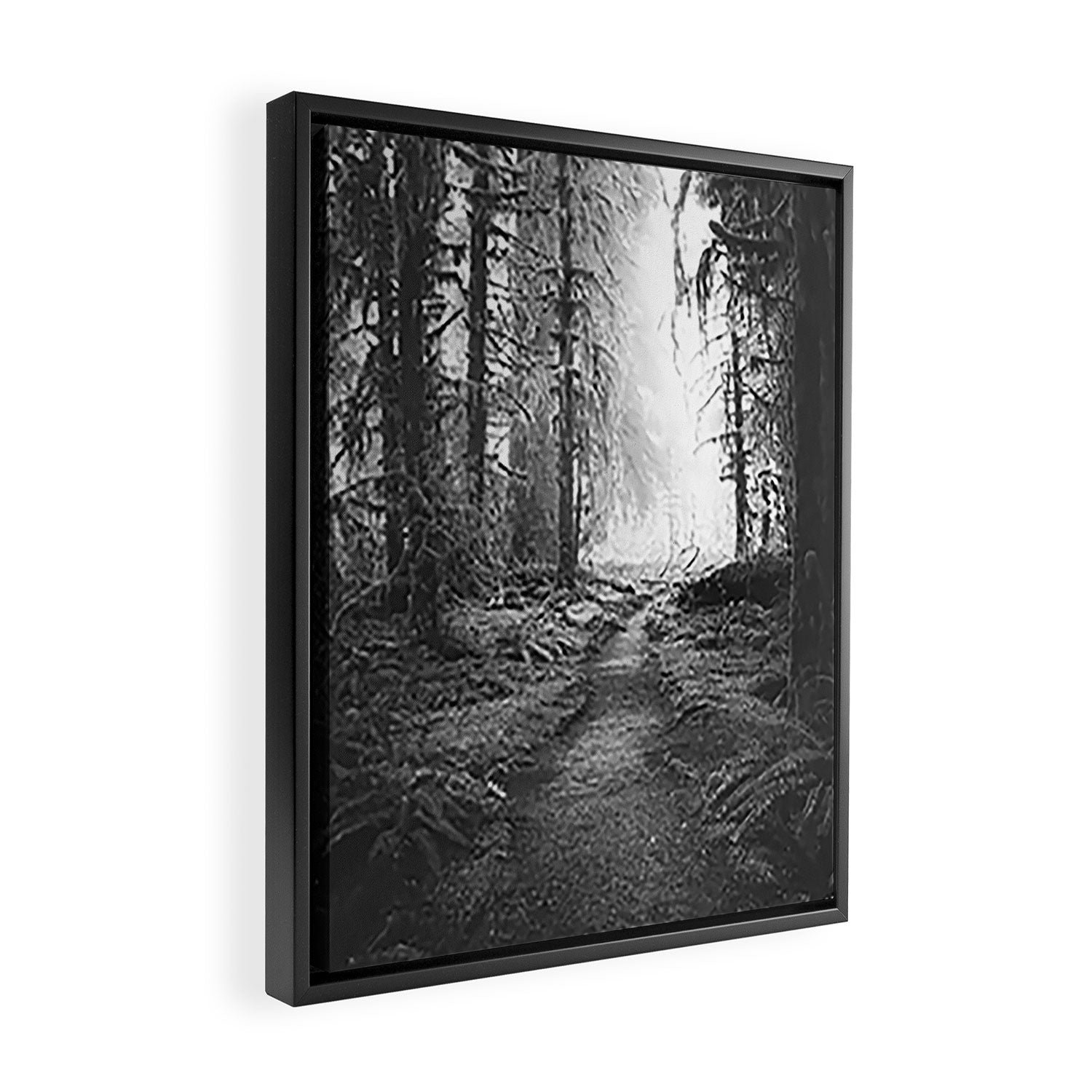 Magical Washington Rainforest Black and White Framed Canvas Print Gallery Image 2