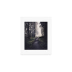 Magical Washington Rainforest Art Print Gallery Image 1