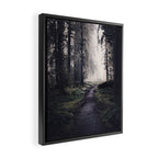 Magical Washington Rainforest Framed Canvas Print Gallery Image 2