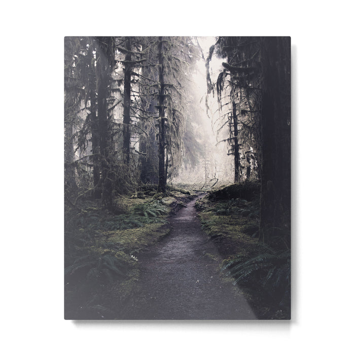 Magical Washington Rainforest Metal Print Gallery Image 1