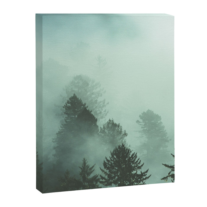 Magnificent Morning - Foggy Redwood Forest Nature Photography Canvas Print Gallery Image 1
