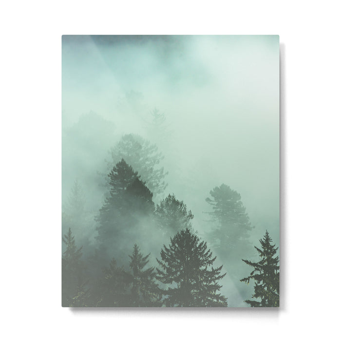 Magnificent Morning - Foggy Redwood Forest Nature Photography Metal Print Gallery Image 1