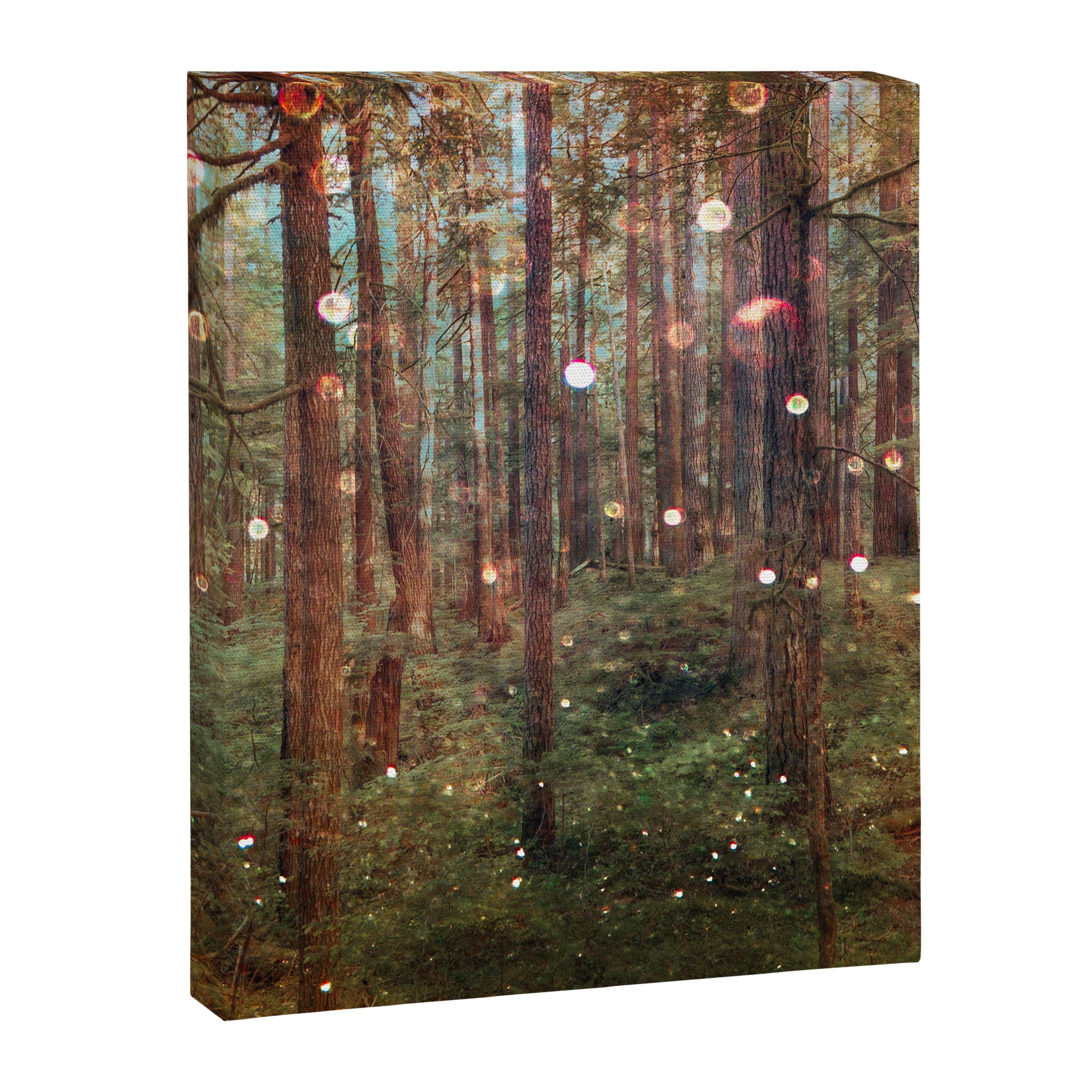 Midsummer Night's Dream 2022 Canvas Print Gallery Image 6