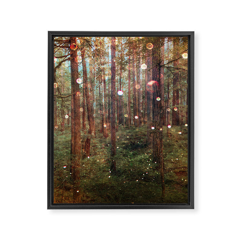 Midsummer Night's Dream 2022 Framed Canvas Print Gallery Image 6