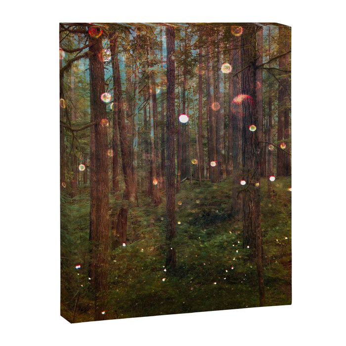 Midsummer Night's Dream Canvas Print Gallery Image 1