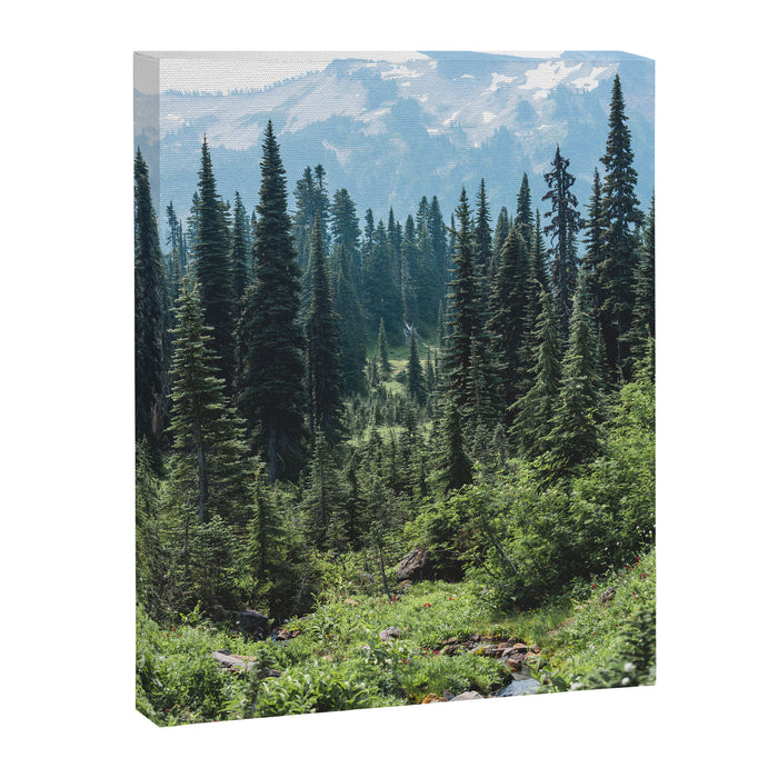 Mount Rainier Classic Mountain Meadow - 129/365 Nature Photography Canvas Print Gallery Image 1