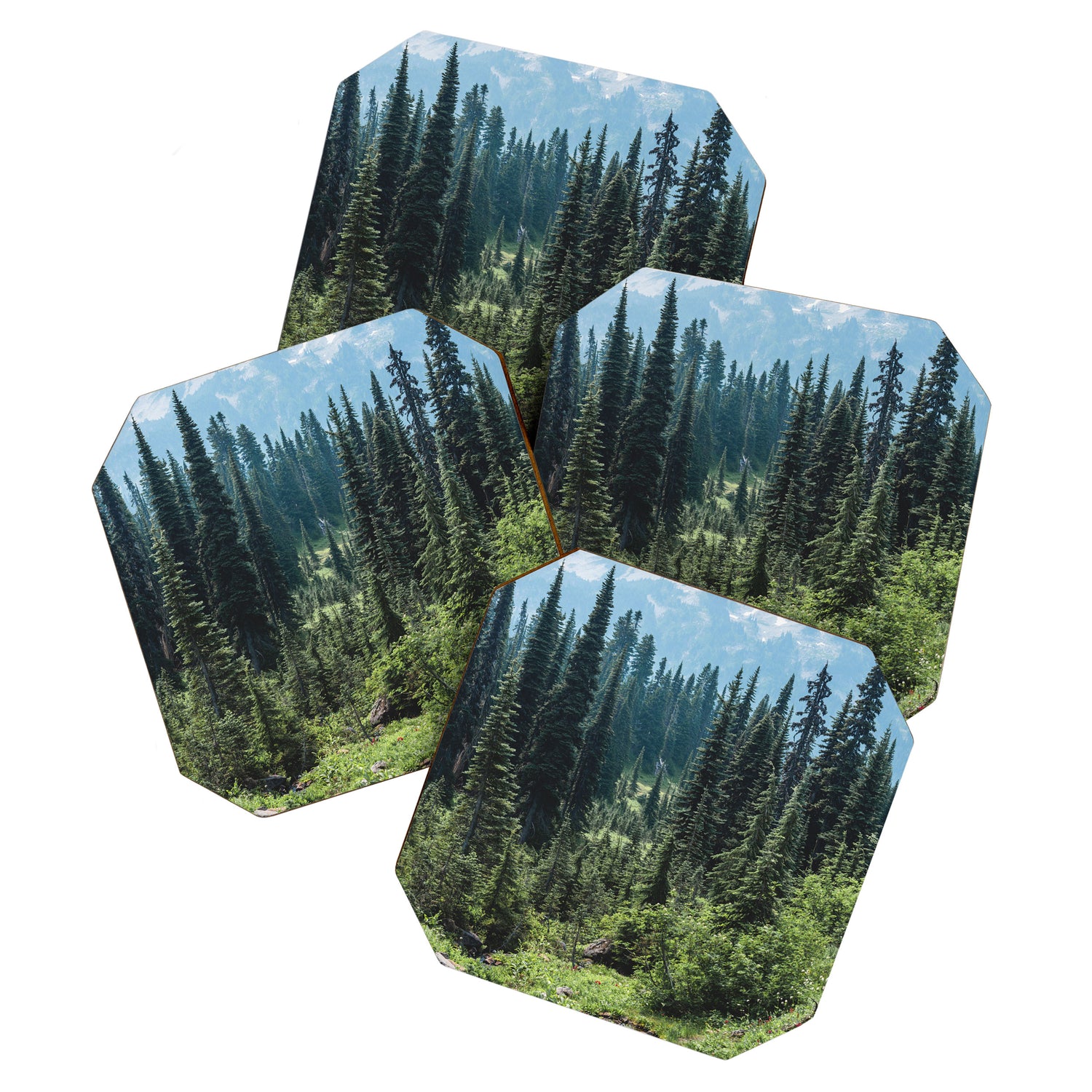 Mount Rainier Classic Mountain Meadow - 129/365 Nature Photography Coaster Gallery Image 1