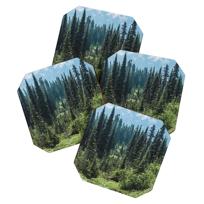 Mount Rainier Classic Mountain Meadow - 129/365 Nature Photography Coaster Gallery Image 1
