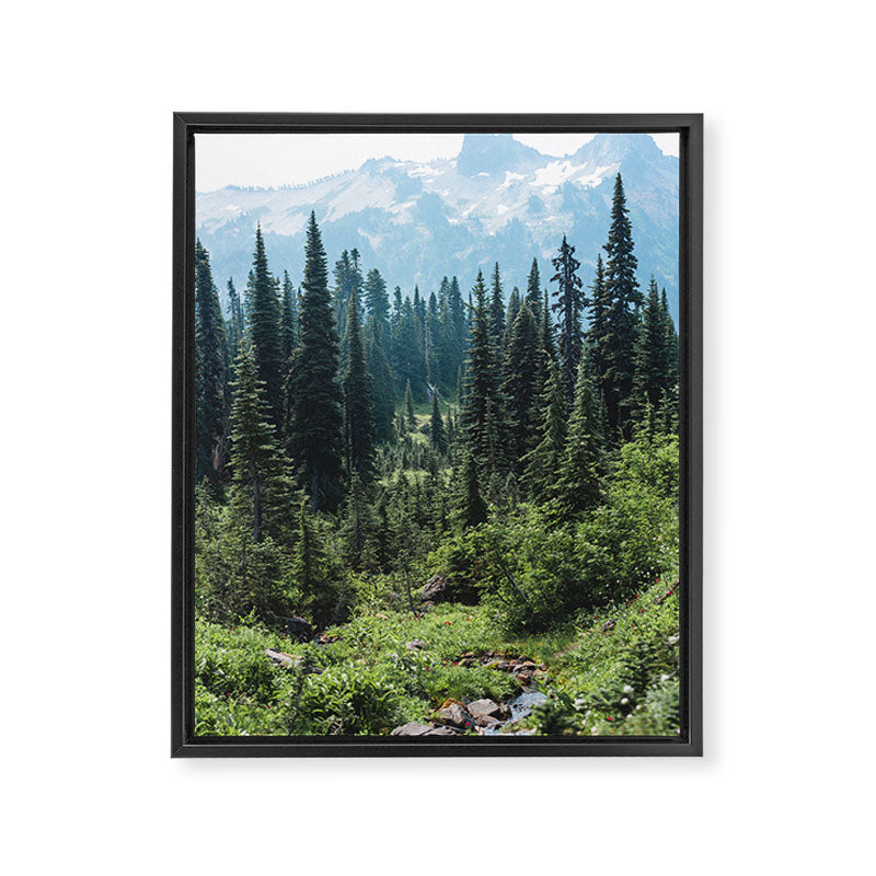 Mount Rainier Classic Mountain Meadow - 129/365 Nature Photography Framed Canvas Print Gallery Image 6