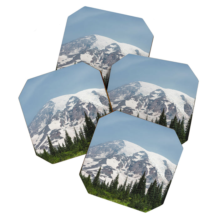 Mount Rainier National Park Coaster Gallery Image 1