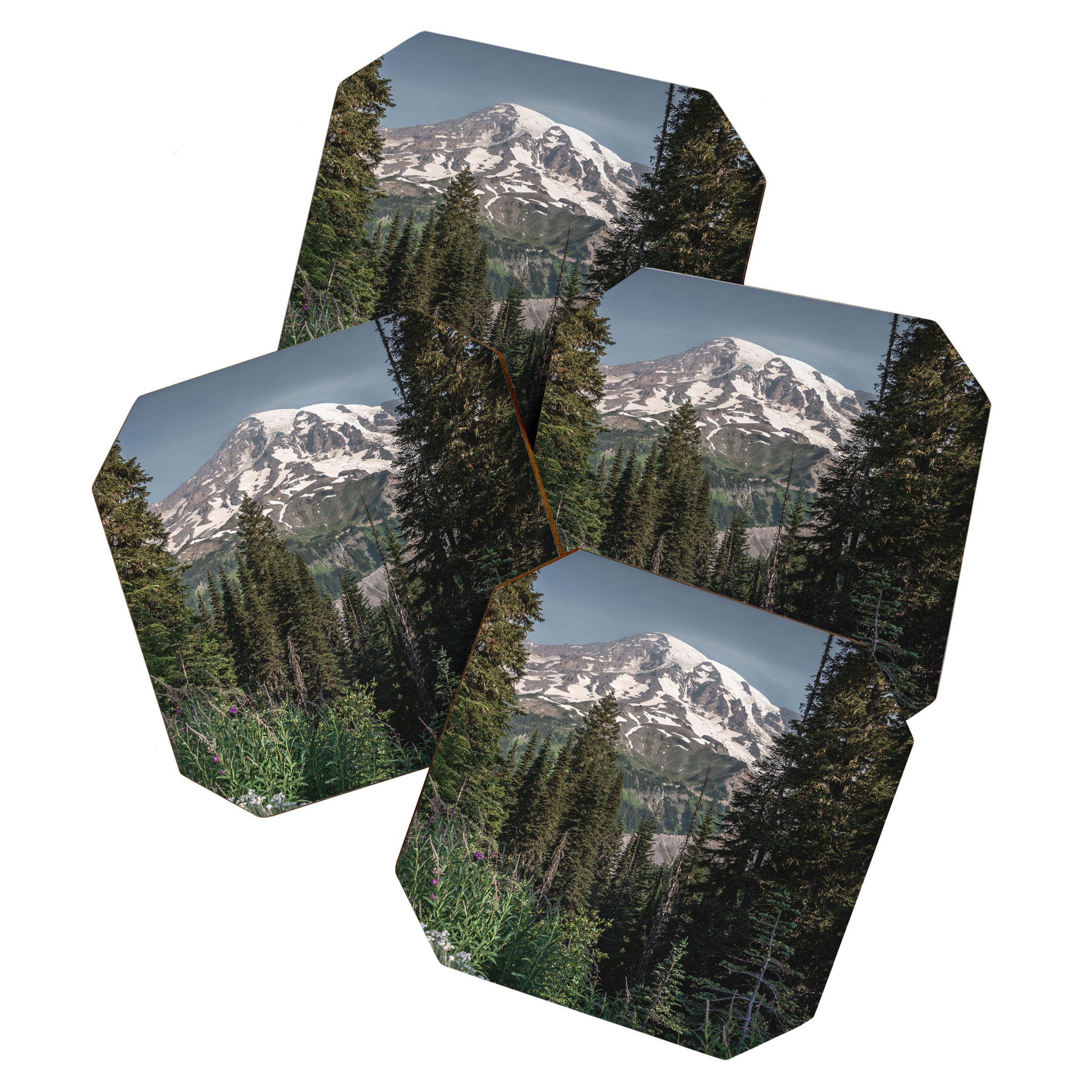 Mount Rainier Wanderlust II - Pacific Northwest Mountain Adventure Coaster Gallery Image 1