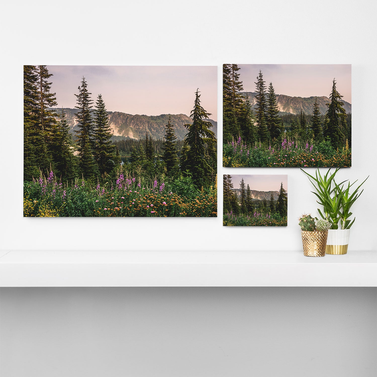 Mount Rainier Wildflower Adventure - National Park Wanderlust Canvas Print Gallery Image 3
