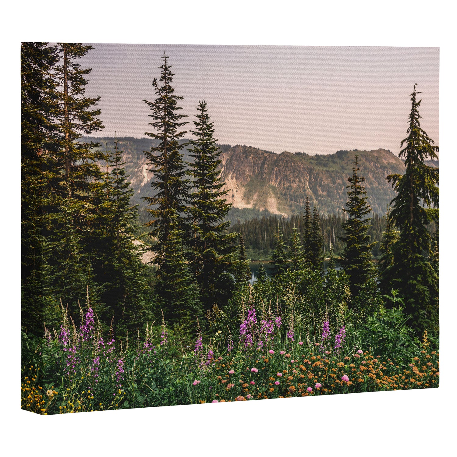 Mount Rainier Wildflower Adventure - National Park Wanderlust Canvas Print Gallery Image 3