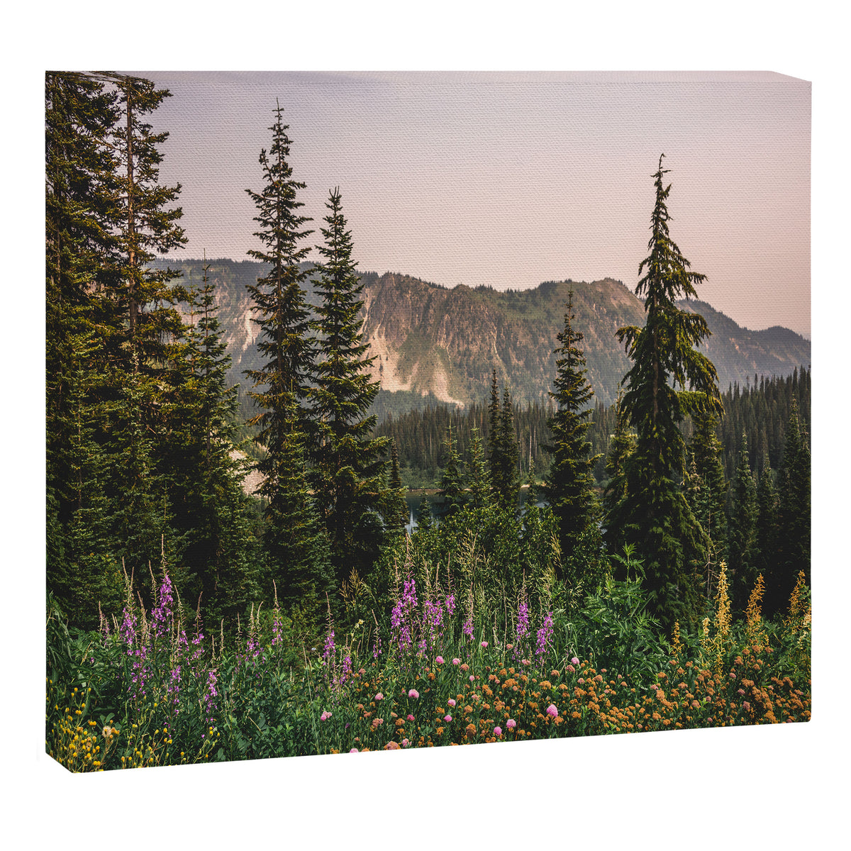 Mount Rainier Wildflower Adventure - National Park Wanderlust Canvas Print Gallery Image 6
