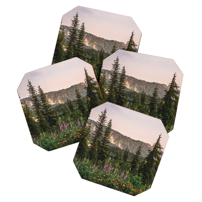 Mount Rainier Wildflower Adventure - National Park Wanderlust Coaster Gallery Image 1