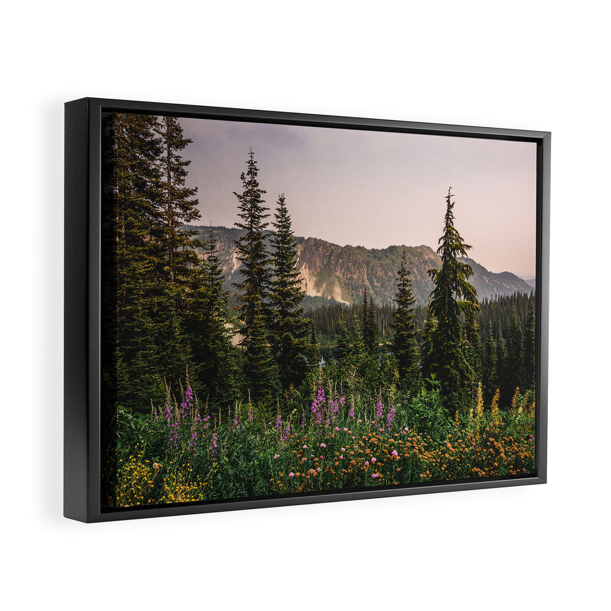 Mount Rainier Wildflower Adventure - National Park Wanderlust Framed Canvas Print Gallery Image 2