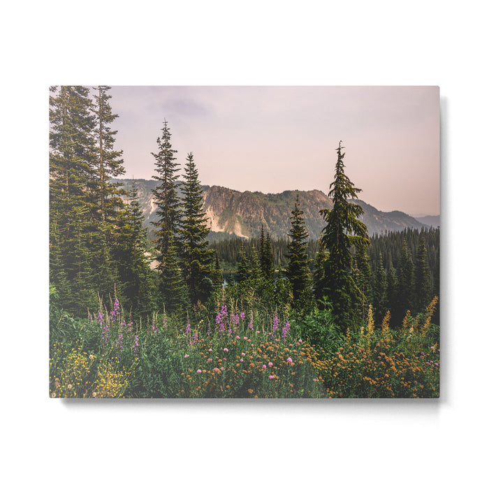 Mount Rainier Wildflower Adventure - National Park Wanderlust Metal Print Gallery Image 1