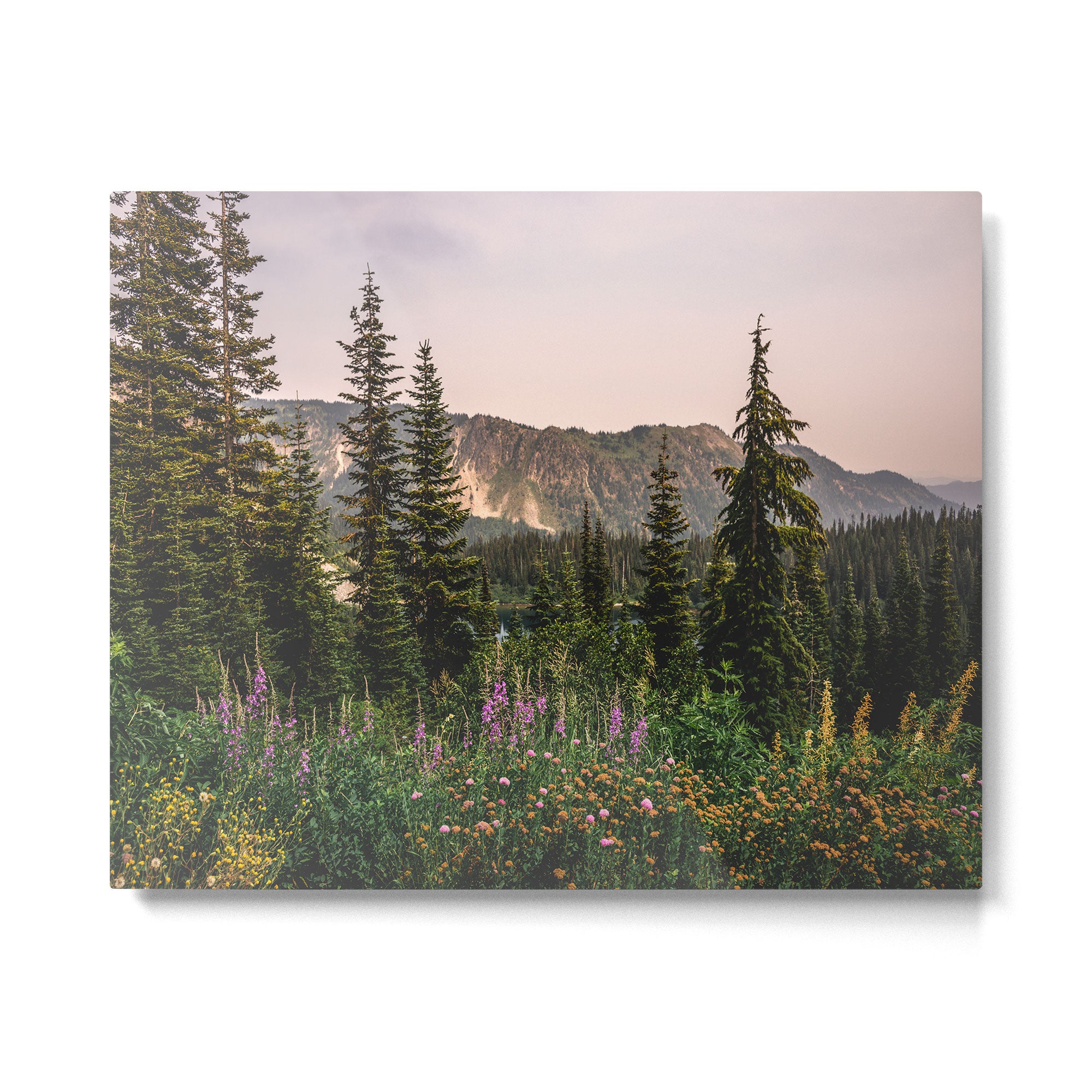 Mount Rainier Wildflower Adventure - National Park Wanderlust Metal Print Gallery Image 4