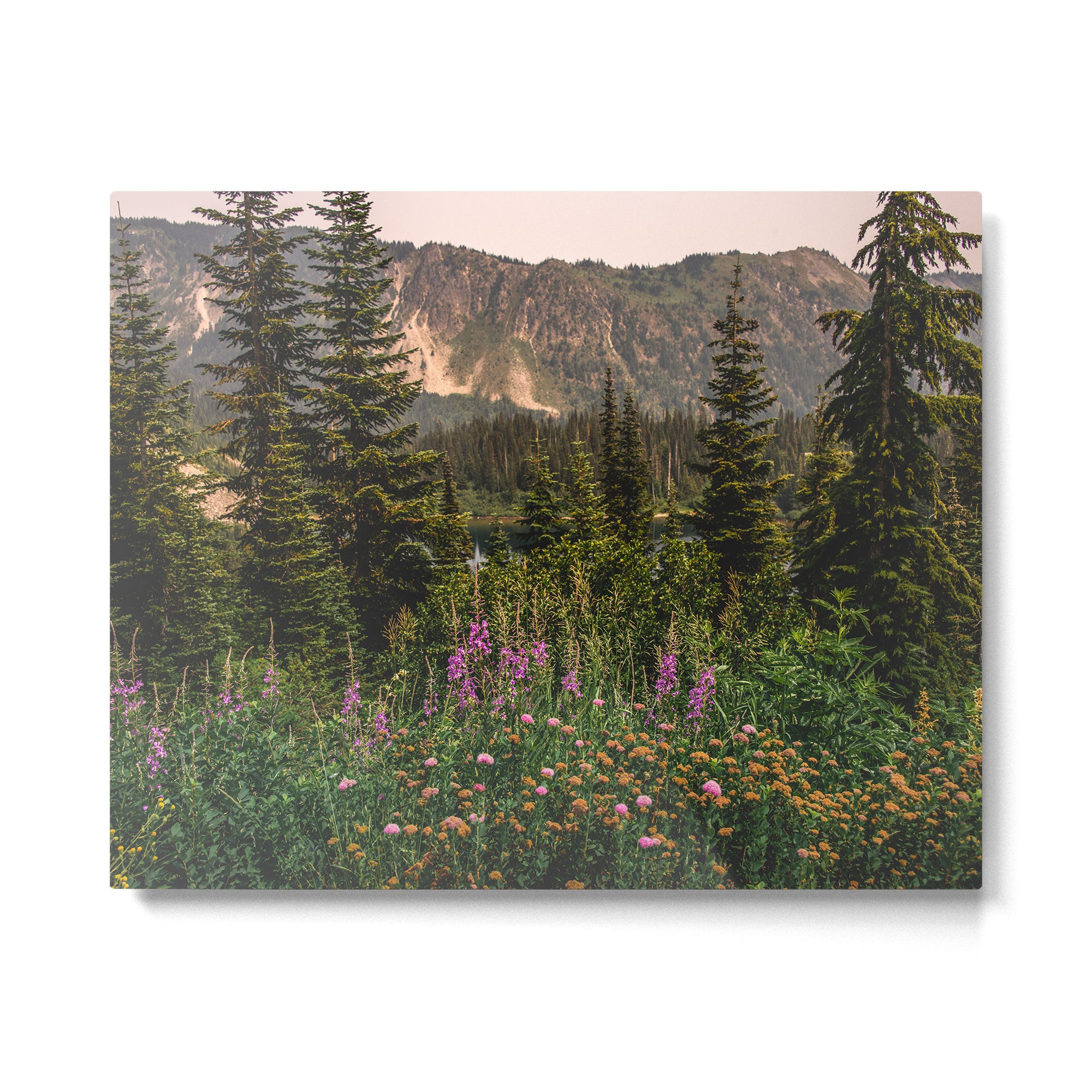 Mount Rainier Wildflower Adventure VI - Pacific Northwest Mountain Forest Wanderlust Metal Print Gallery Image 4