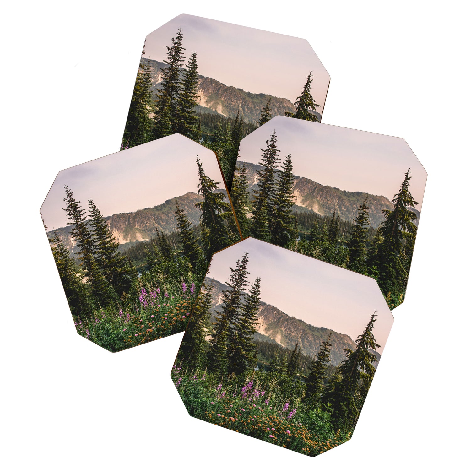 Mount Rainier Wildflower Adventure VII - Pacific Northwest Mountain Forest Wanderlust Coaster Gallery Image 1
