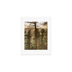 Mountain Forest New Mexico - Nature Photography Art Print Gallery Image 1