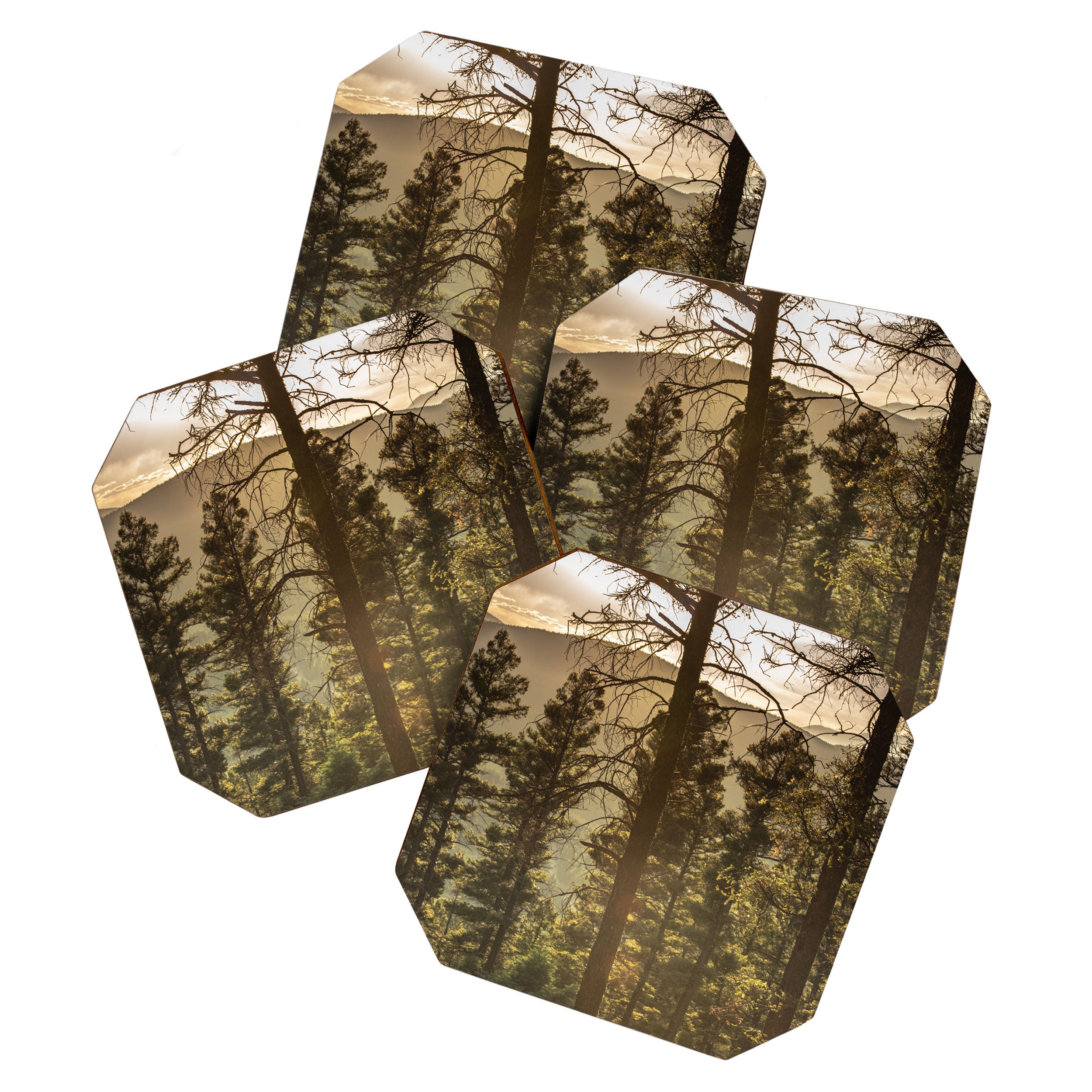 Mountain Forest New Mexico - Nature Photography Coaster Gallery Image 1