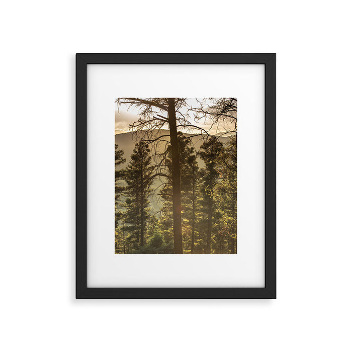 Mountain Forest New Mexico - Nature Photography Framed Art Print Gallery Image 1