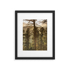 Mountain Forest New Mexico - Nature Photography Framed Art Print Gallery Image 5
