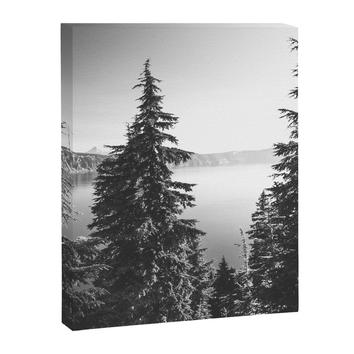 Mountain Lake Forest Black and White Nature Photography Canvas Print Gallery Image 1