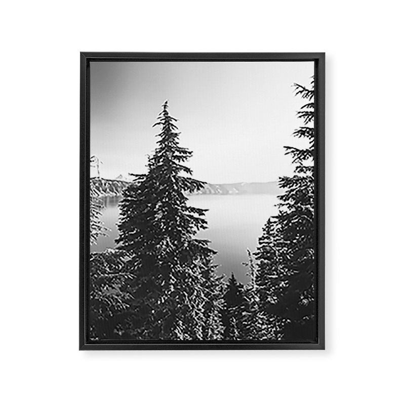 Mountain Lake Forest Black and White Nature Photography Framed Canvas Print Gallery Image 6