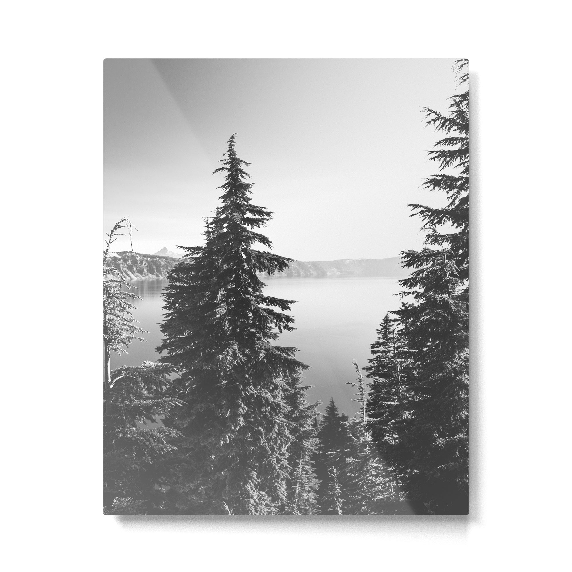 Mountain Lake Forest Black and White Nature Photography Metal Print Gallery Image 4