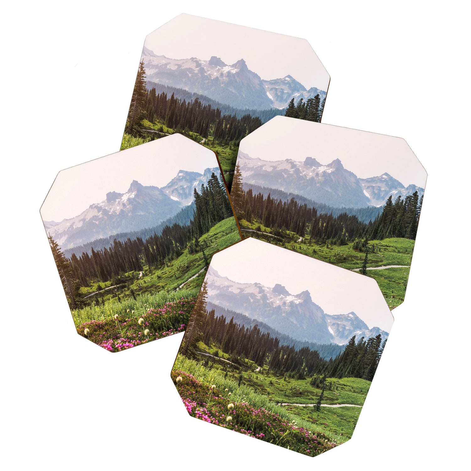 Mountain Wildflower Hiking Highs - 74/365 Coaster Gallery Image 1