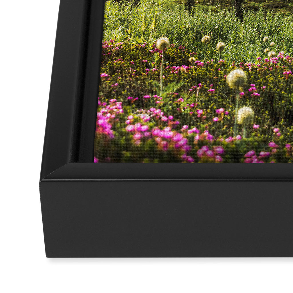 Mountain Wildflower Hiking Highs - 74/365 Framed Canvas Print Gallery Image 3
