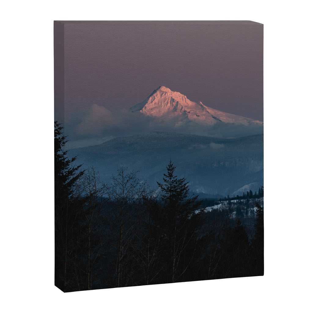 Mt. Hood Forest Mountain - Nature Photography Canvas Print Gallery Image 6