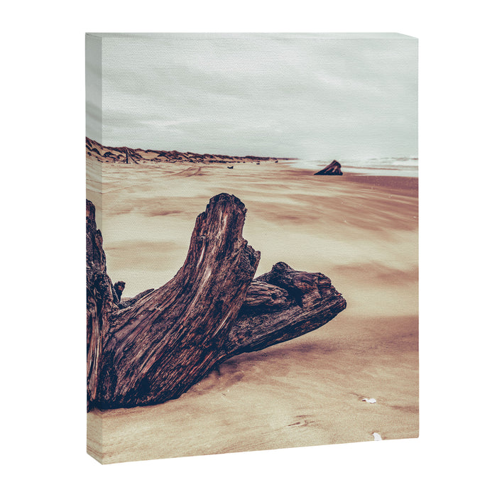 Ocean Driftwood Canvas Print Gallery Image 1