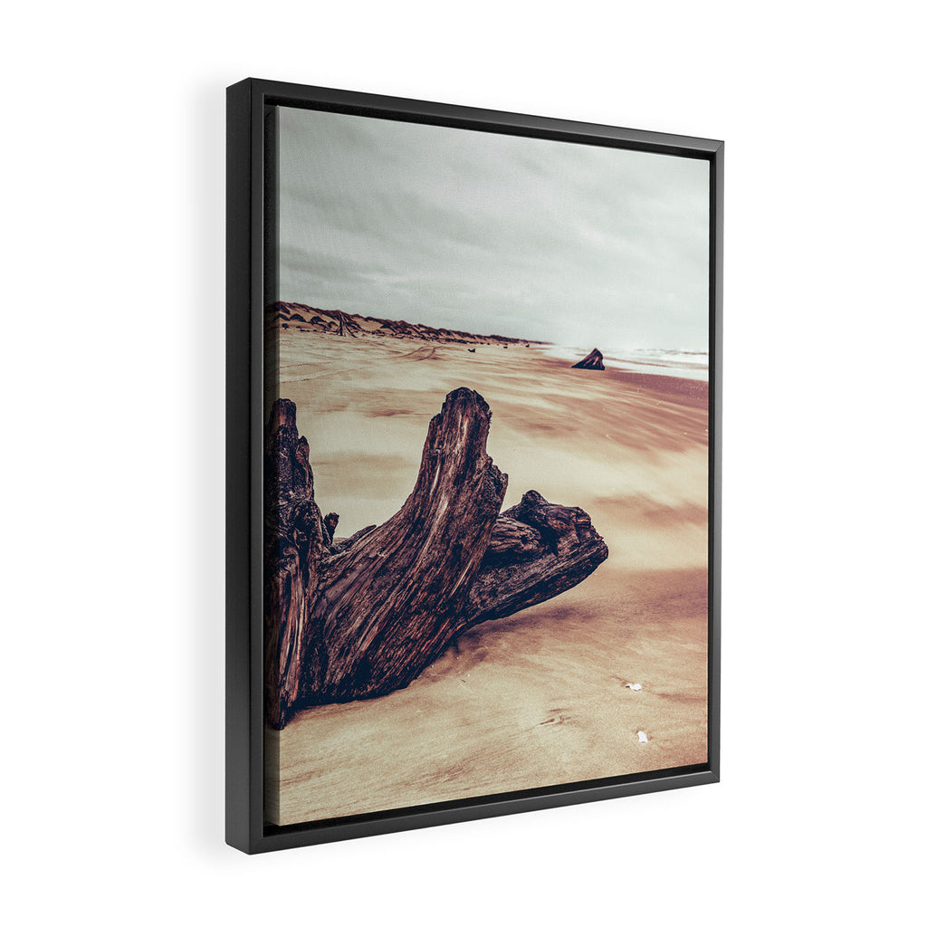 Ocean Driftwood Framed Canvas Print Gallery Image 2