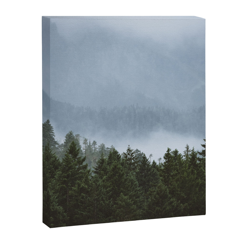 Olympic Mountain Adventures Canvas Print Gallery Image 6