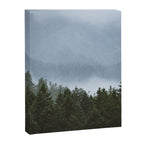Olympic Mountain Adventures Canvas Print Gallery Image 6