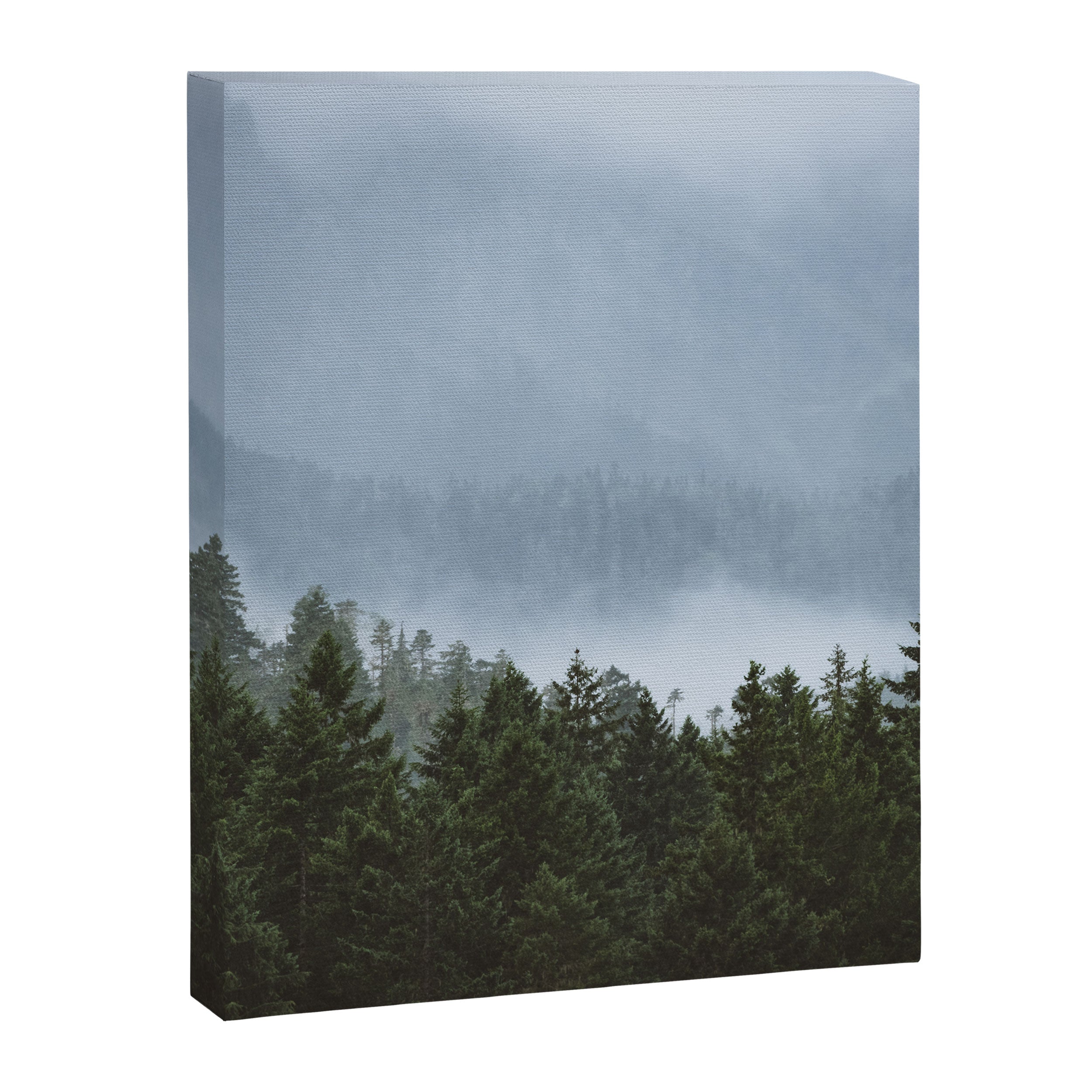 Olympic Mountain Adventures Canvas Print Gallery Image 6