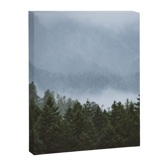 Olympic Mountain Adventures Canvas Print Gallery Image 1